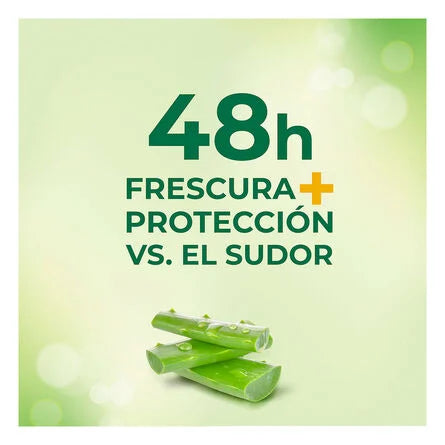 Desodorante Antitranspirante Savile Concha Nacar Aerosol 150 ml